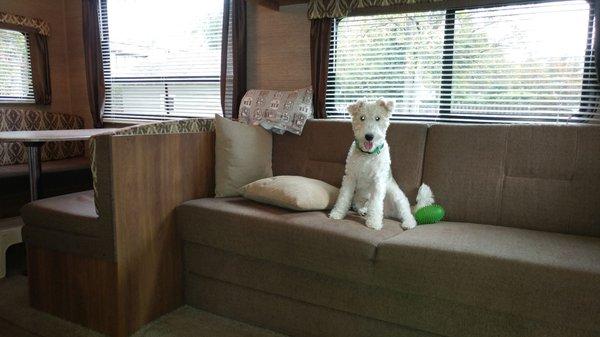 Ralphy enjoying the camper