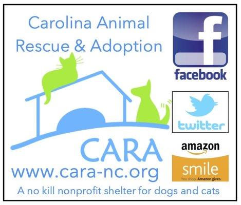 Carolina Animal Rescue and Adoption