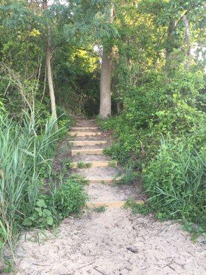 The steps from the beach/launch up to the loading/unloading area and parking.