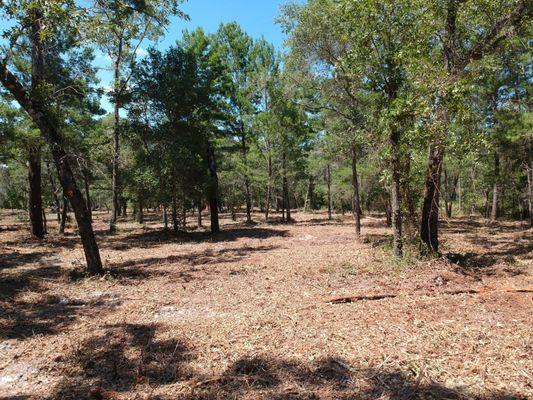 Forestry Mulching