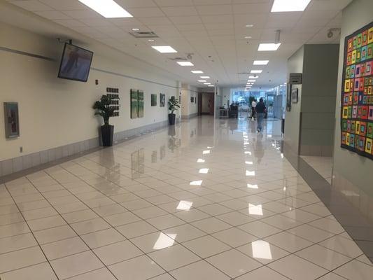 Hallway going towards front doors