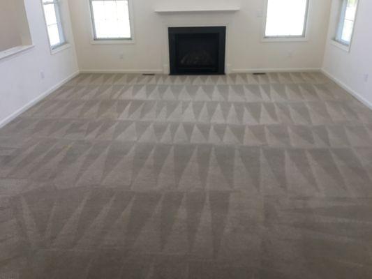 Professional carpet cleaning