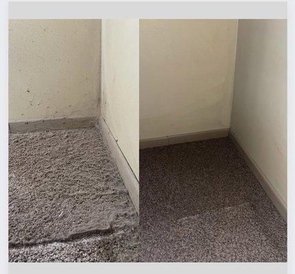 Carpet Before/After