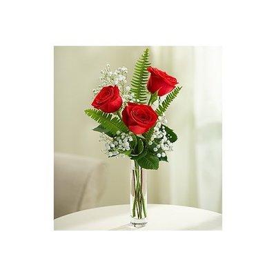 Triple bud vase with red roses