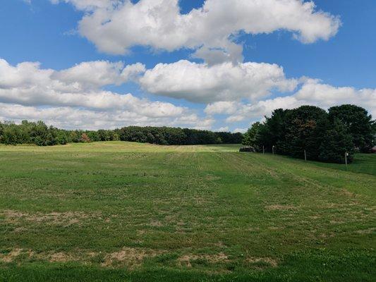 Vacant Land