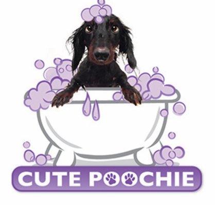 Cute Poochie