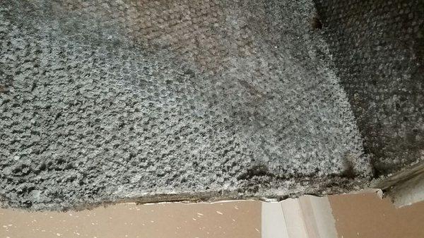 Plenum duct board before cleaning - NOT mold.