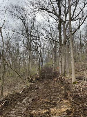 Roads being cut in on our 4 Acres on US52 in Brown County