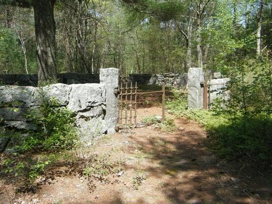 Spooky old cemetery