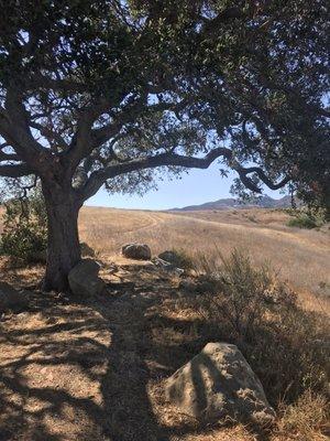 San Marcos Foothills Preserve