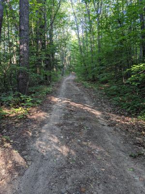 Maine Mountain Bike Adventures