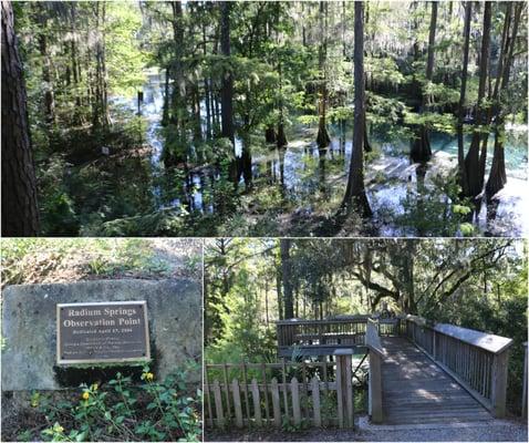 Observation area is available even when the springs entrance is closed.