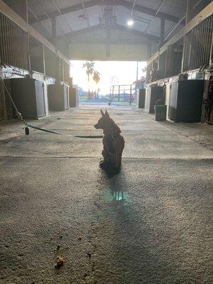 A view from inside the main barn