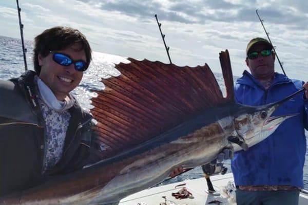 Nice sailfish caught on an deep sea trip.