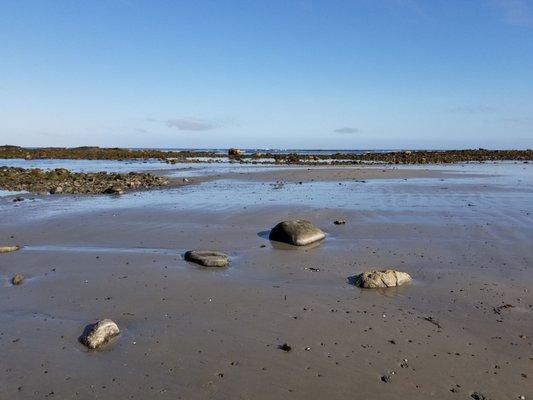 Crescent Beach