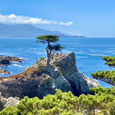 17 mile drive. Lone cypress