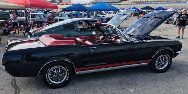 Mustang