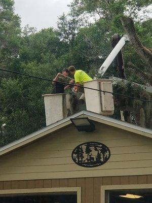 Removing over hanging limbs away from your roof will help protect it from damage and extend the life of your home.