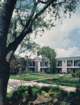 Courtyard landscaping