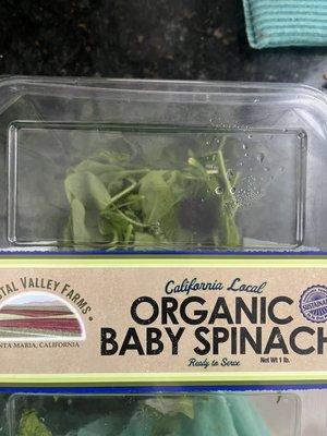 Random object in the spinach.