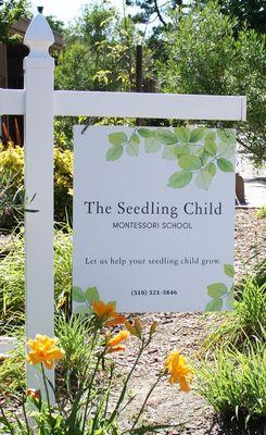 The Seedling Child Montessori School 