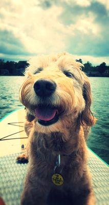 Yankee Doodle paddle boarding