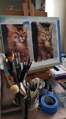 Custom pet portrait in progress; this size and one pet from shoulders up is $240 at the time of posting.