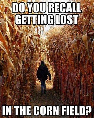 Do you recall getting lost in the corn maze?