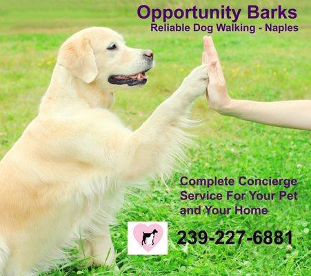 Reliable, dependable Dog Walking in Naples FL  Pet sitting available Canine/Feline CPR trained.  Certified Dog Walker, member of NAPPS