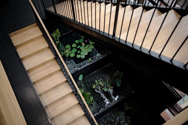 Stairwell and tiered fountain with Koi fish.