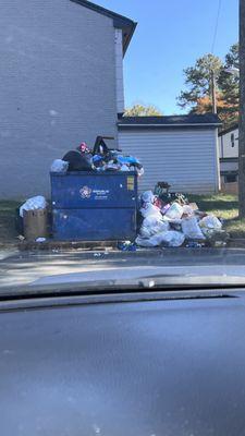 Dirty. Too many people; not enough dumpsters