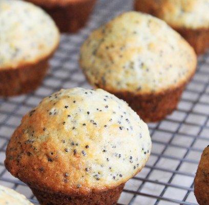 Orange Poppyseed Muffins