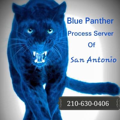 Blue Panther Process Server of San Antonio