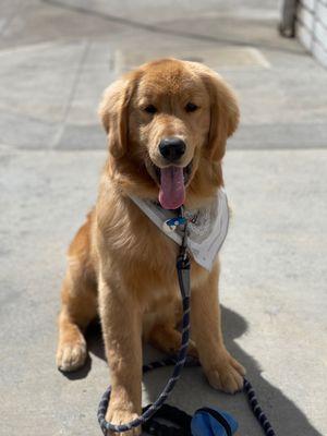 Gopher at 6.5 months