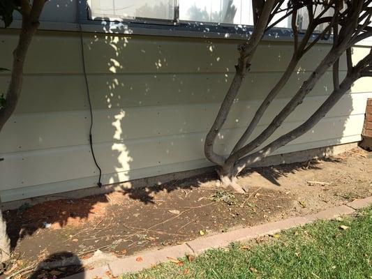 Replacing siding boards.