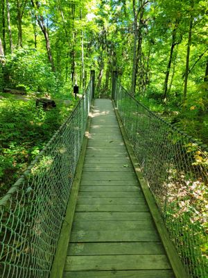 Suspension bridge