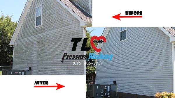 Mold and mildew removal on vinyl siding