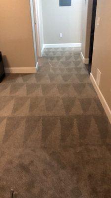 Carpet Cleaning