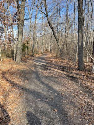 One of the main trails (blue blaze) in the park