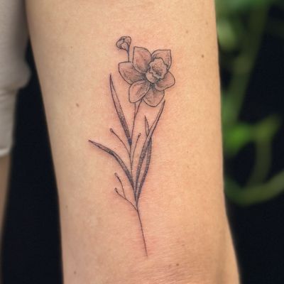 Fine line tattoo of a delicate flower daffodil on the back of the arm