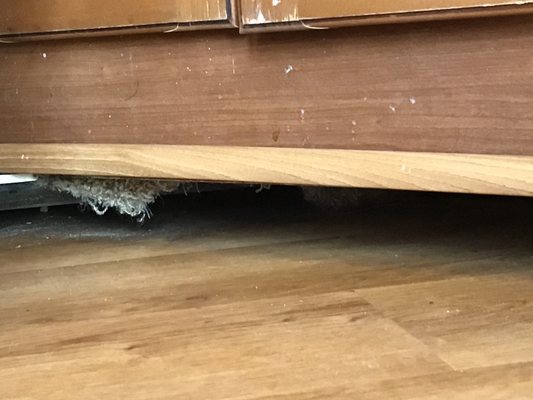 Additional shot of carpet hanging down under cabinet