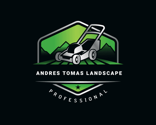 Andres Tomas Landscape