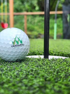 GrassLand- Synthetic Turf