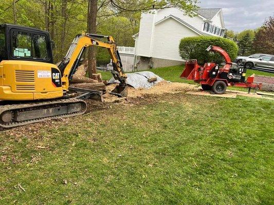 Cutting down trees, chipping them up, hauling logs away and spreading out wood chips with two equipment rentals