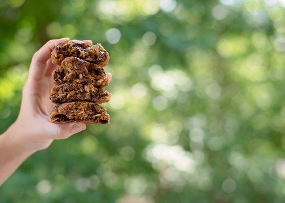 Oatmeal Chocolate Chip