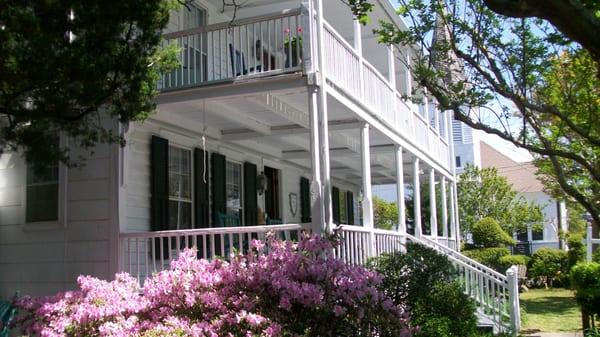 Every season has it's beauty! Azaleas in April and May.