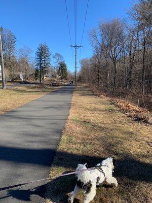 Simsbury Land Trust Farmington Canal Trail