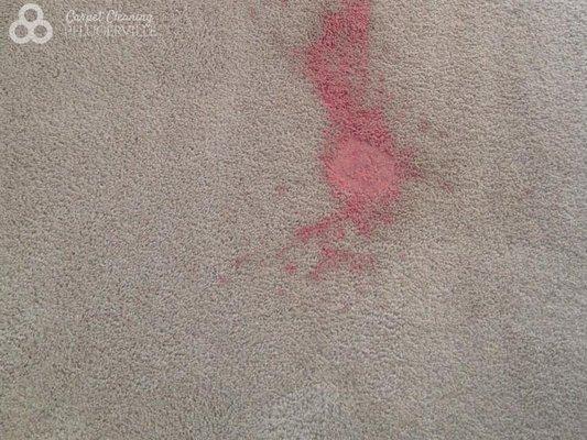 Carpet Stain Removal