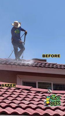 ROOF POWER WASHING -Mold Removal         -Grime Removal            -Restoring color              -Adds beauty to home