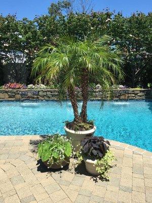 Pool was totally refurbished the wall and the water features were added, the gunite was done in grey to give it a darker blue look.